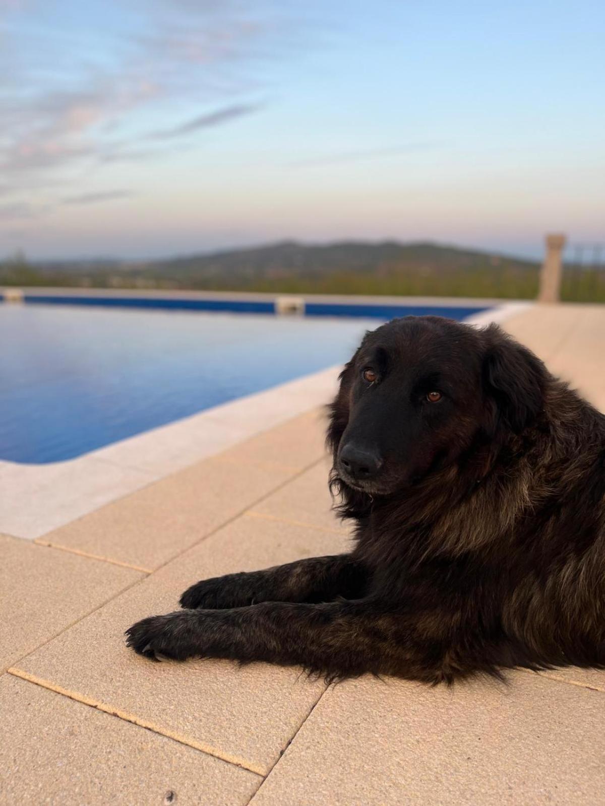 Villa Tranca Da Barriga - Casa Do Vinho By Quinta De Sao Tiago Covilhã Esterno foto